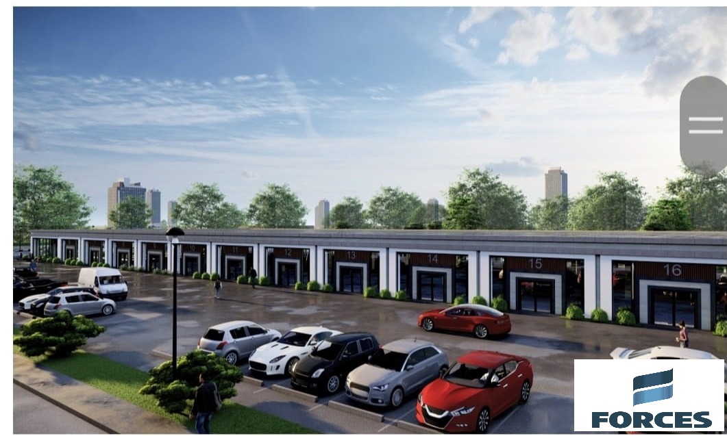 birlik pelit sasmaz 10