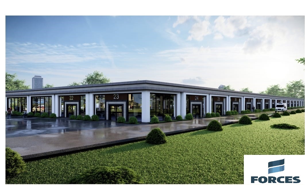 birlik pelit sasmaz 11