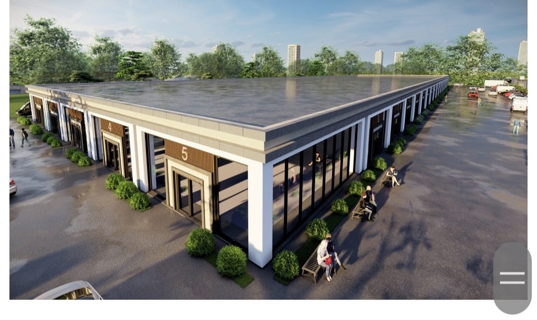 birlik pelit sasmaz 2