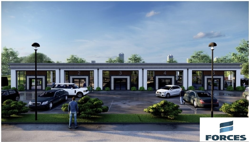 birlik pelit sasmaz 6