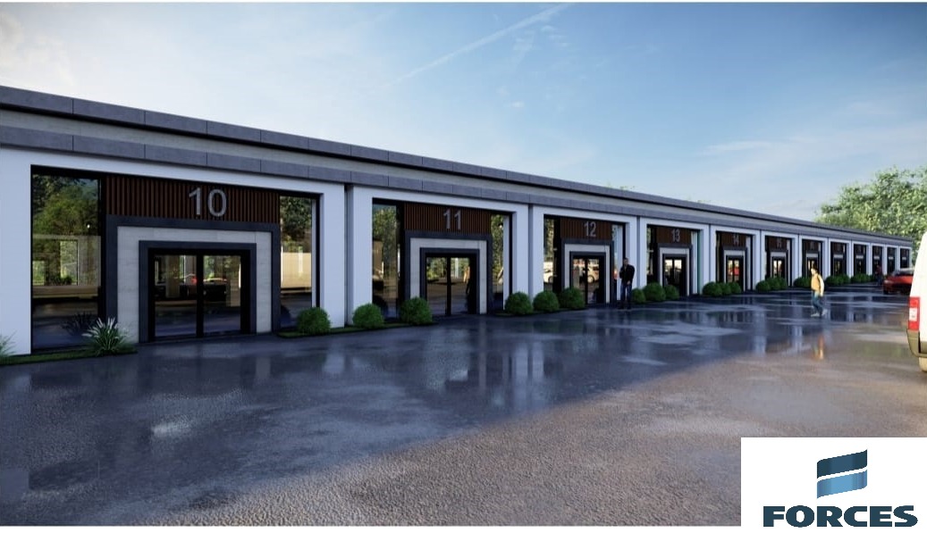 birlik pelit sasmaz 7