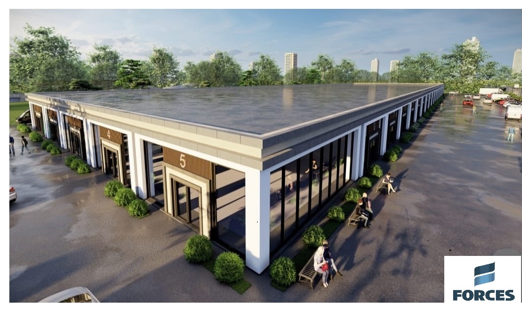 birlik pelit sasmaz 9