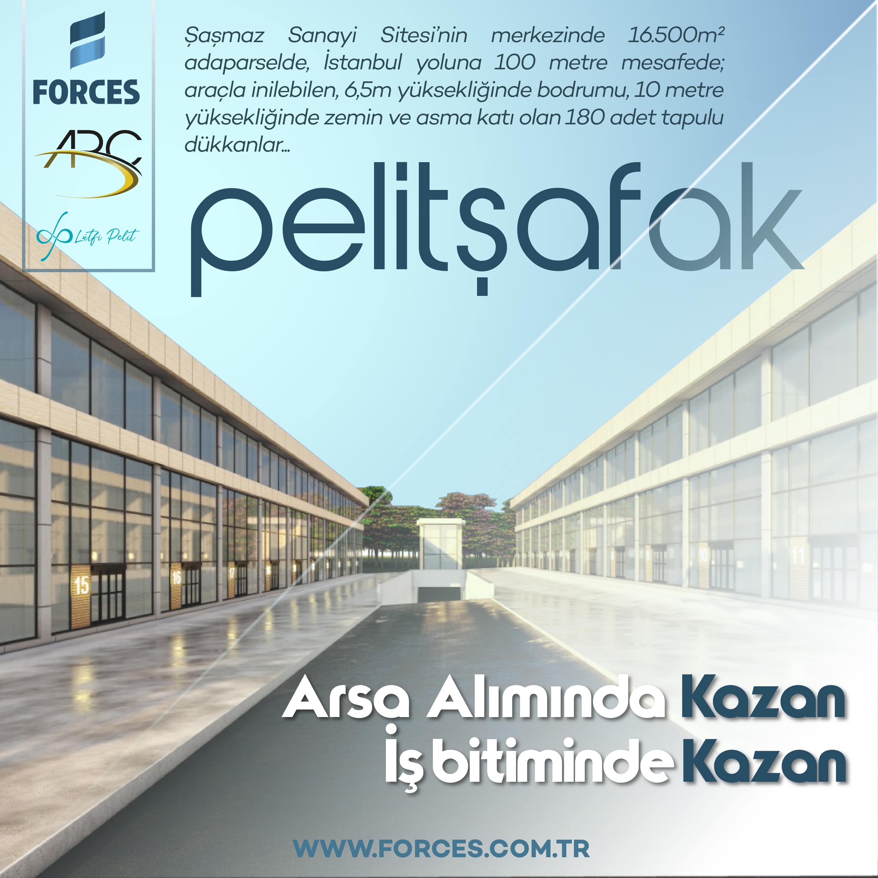 Pelit Şafak Şaşmaz