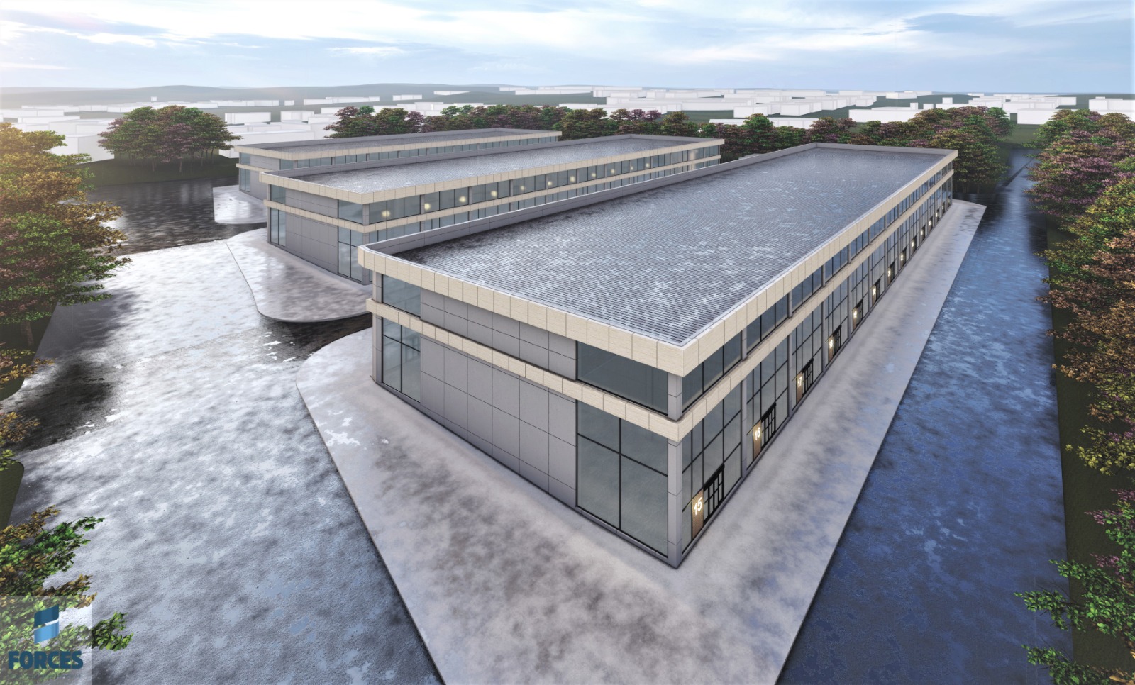 pelit safak sasmaz 6